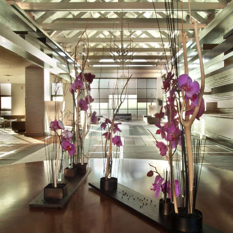 Hall de acceso con orquídeas y luz natural